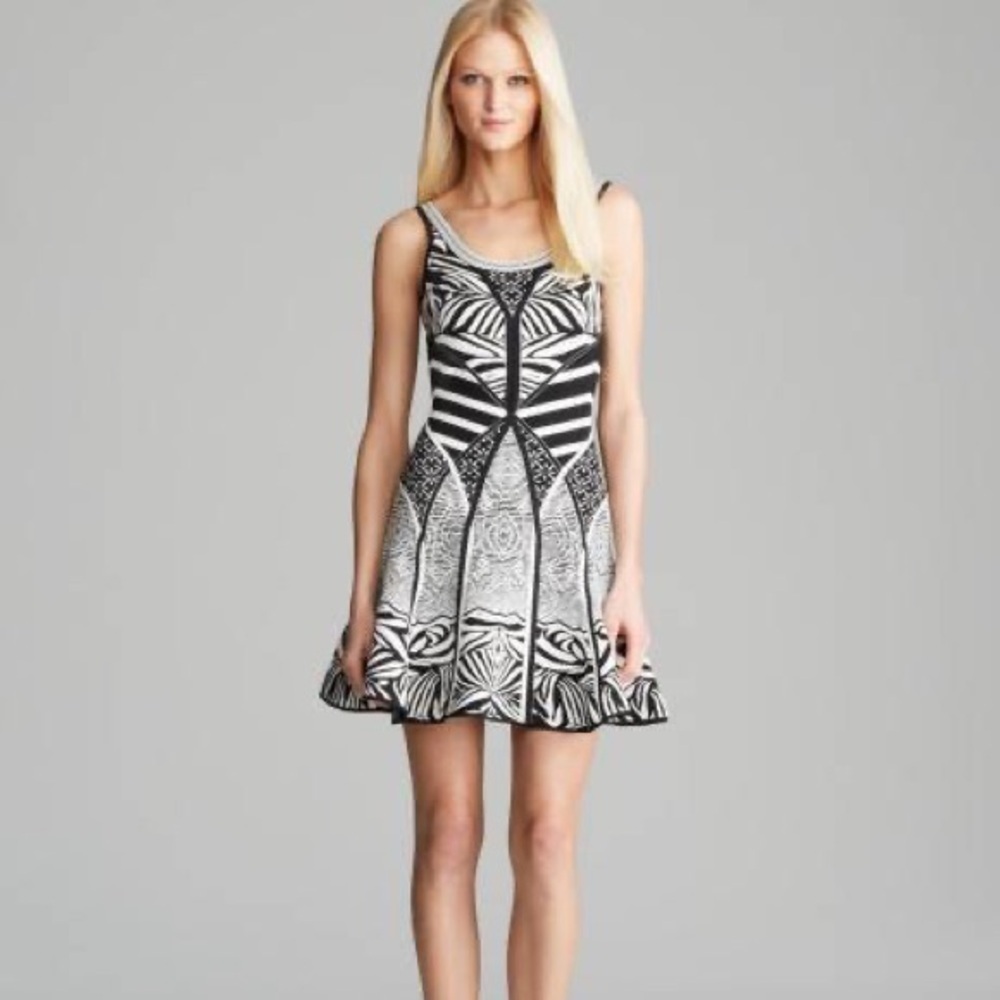 Diane von Furstenberg (DVF) • Zebra Tattoo Fit & Flare Fanny Dress